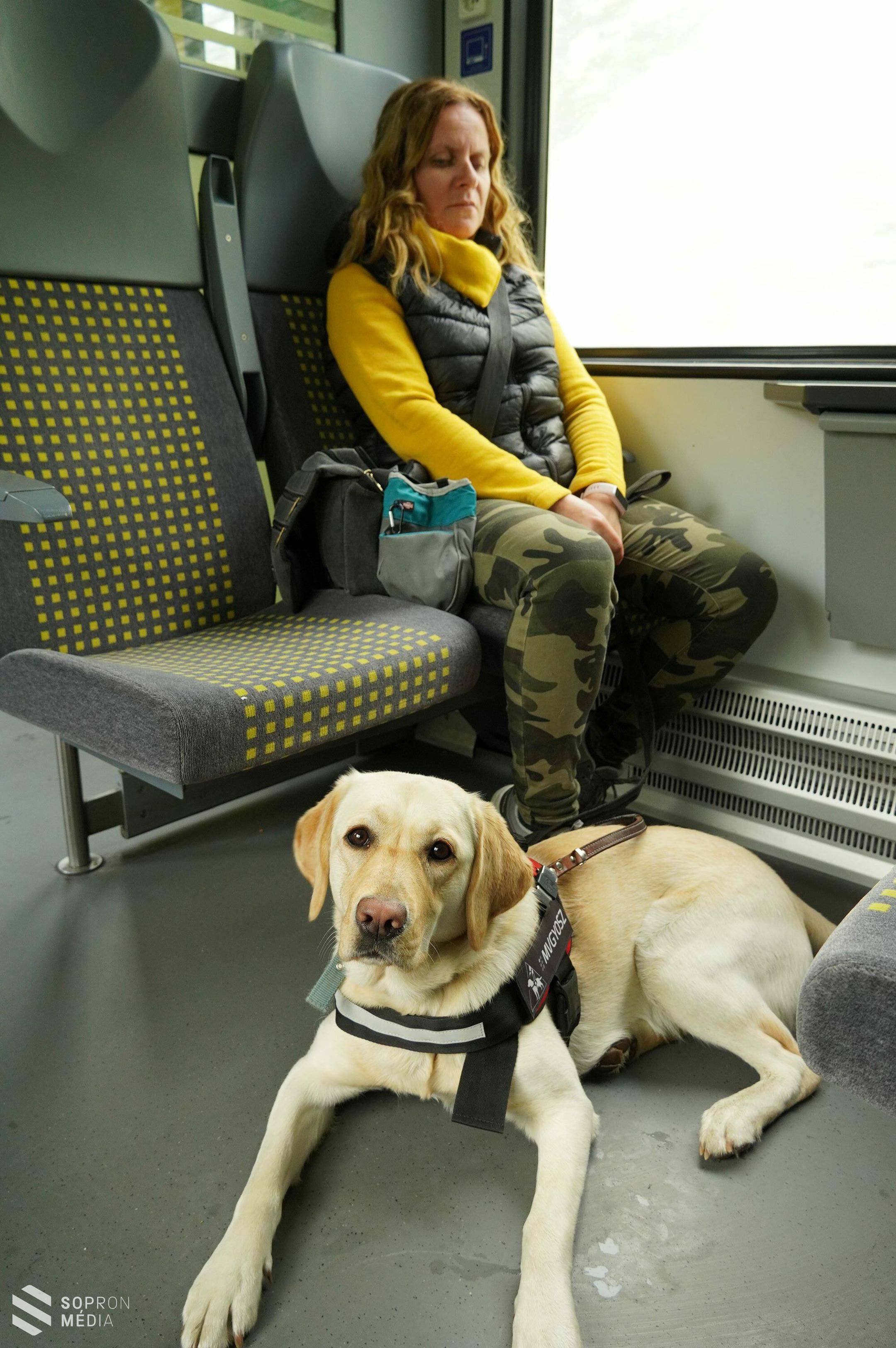 Sikeres közlekedésbiztonsági vizsgát tett Pálmai-Matis Mónika és Mézi, a vakvezető kutyája