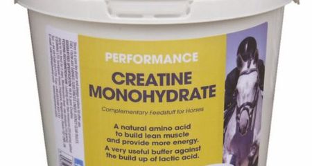EQUIMINS CREATINE MONOHYDRATE-Kreatin Monohidrát 1kg