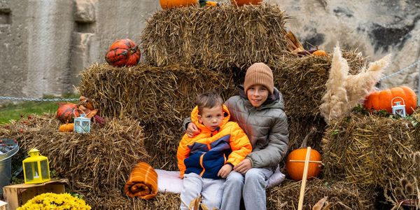 Mesés őszi délután a Kőfejtőben