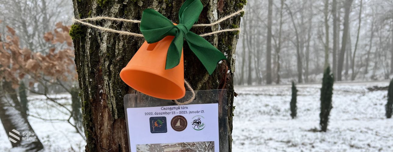 Erdei manók nyomában a Csengettyű túrán
