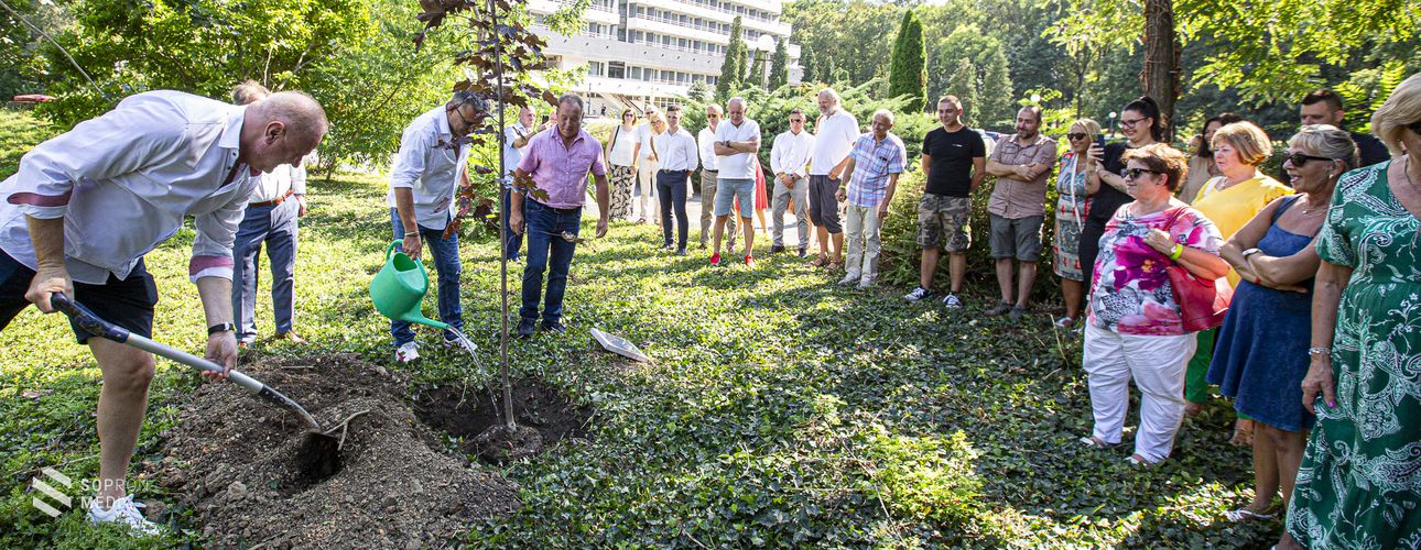 50 éves a Hotel Szieszta