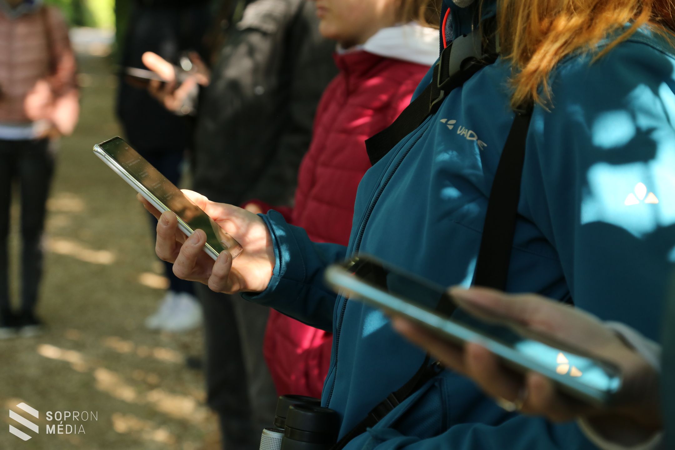 A Ciklámen tanösvény tábláinak cseréje és digitalizációja is megvalósult