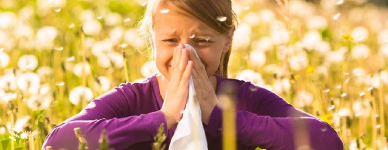 Nyár: a pollenallergia évszaka