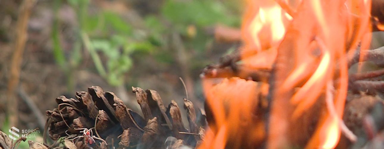 Október 1-je és november 30 között még elégetheti a kerti hulladékot