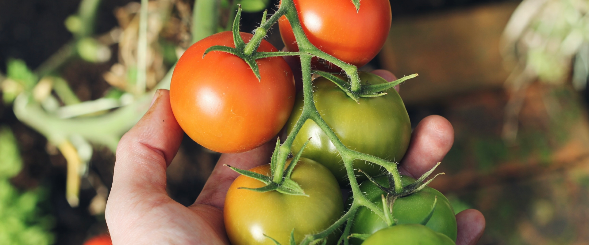Agrofil-SZMI Kft.