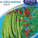 B. Tűzbab Lady di pirosvirágú (nem szálkás) 10g termék képe