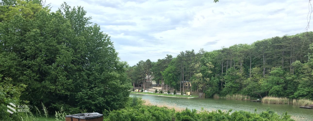 Tómalmi összefogás a tiszta környezetért