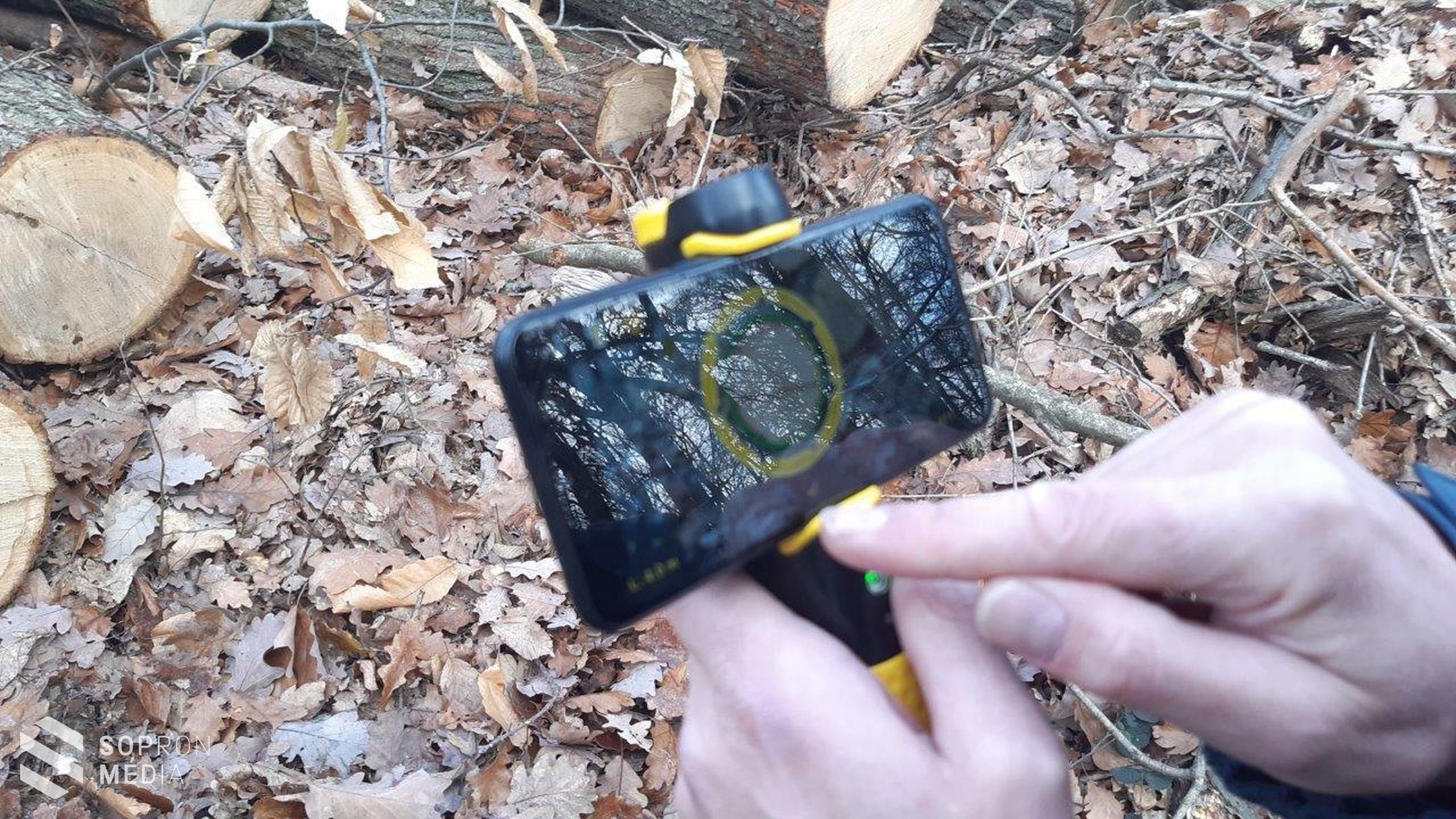 Ismét egy szakmai program helyszíne volt a soproni erdő