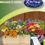 Vetőlap, Balkon virágkeverék 80x10cm termék képe