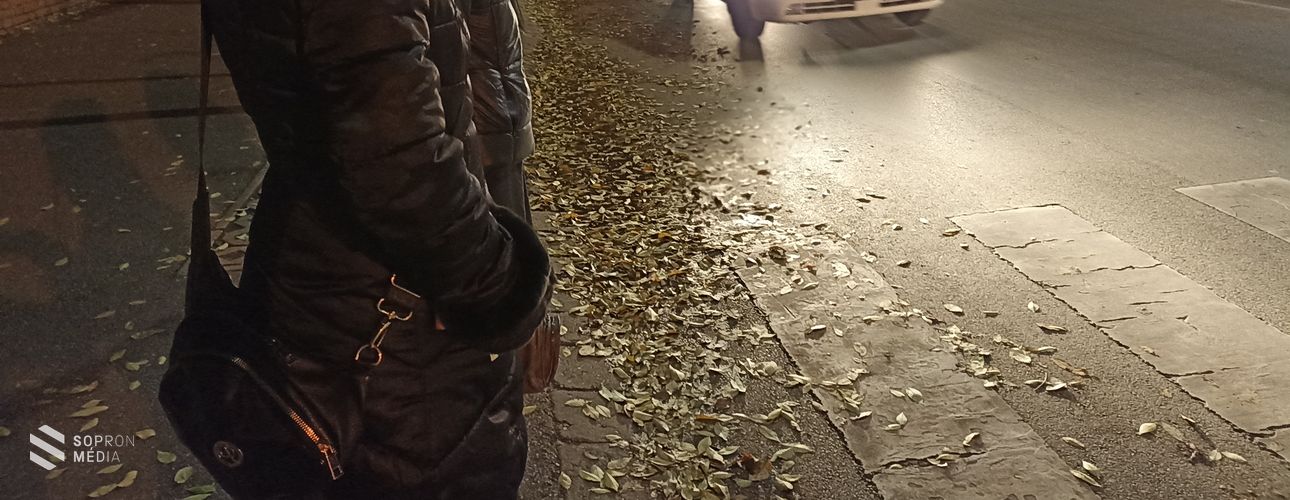 Az őszi gyalogosgázolások elkerülhetők