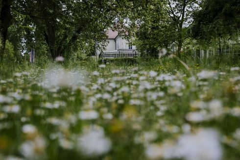 Képek Kastélyszállodánkról