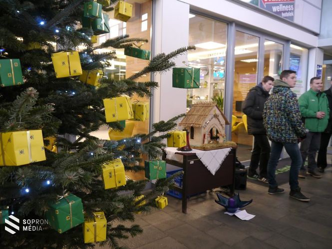 Megérkezett a Betlehemi Békeláng Sopronba 2016