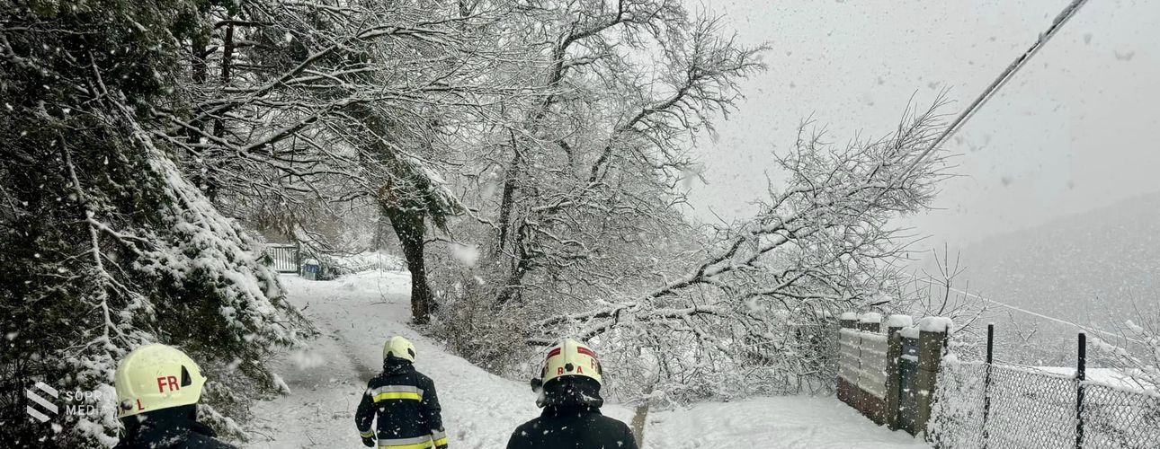 Közlekedési balesetek és kidőlt fák miatt riasztották a tűzoltókat hétvégén