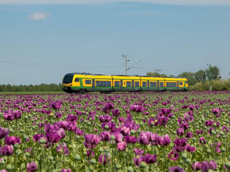 Kirándulók, figyelem! A Fertő-táj vonatokat is érinti a vágányzár!