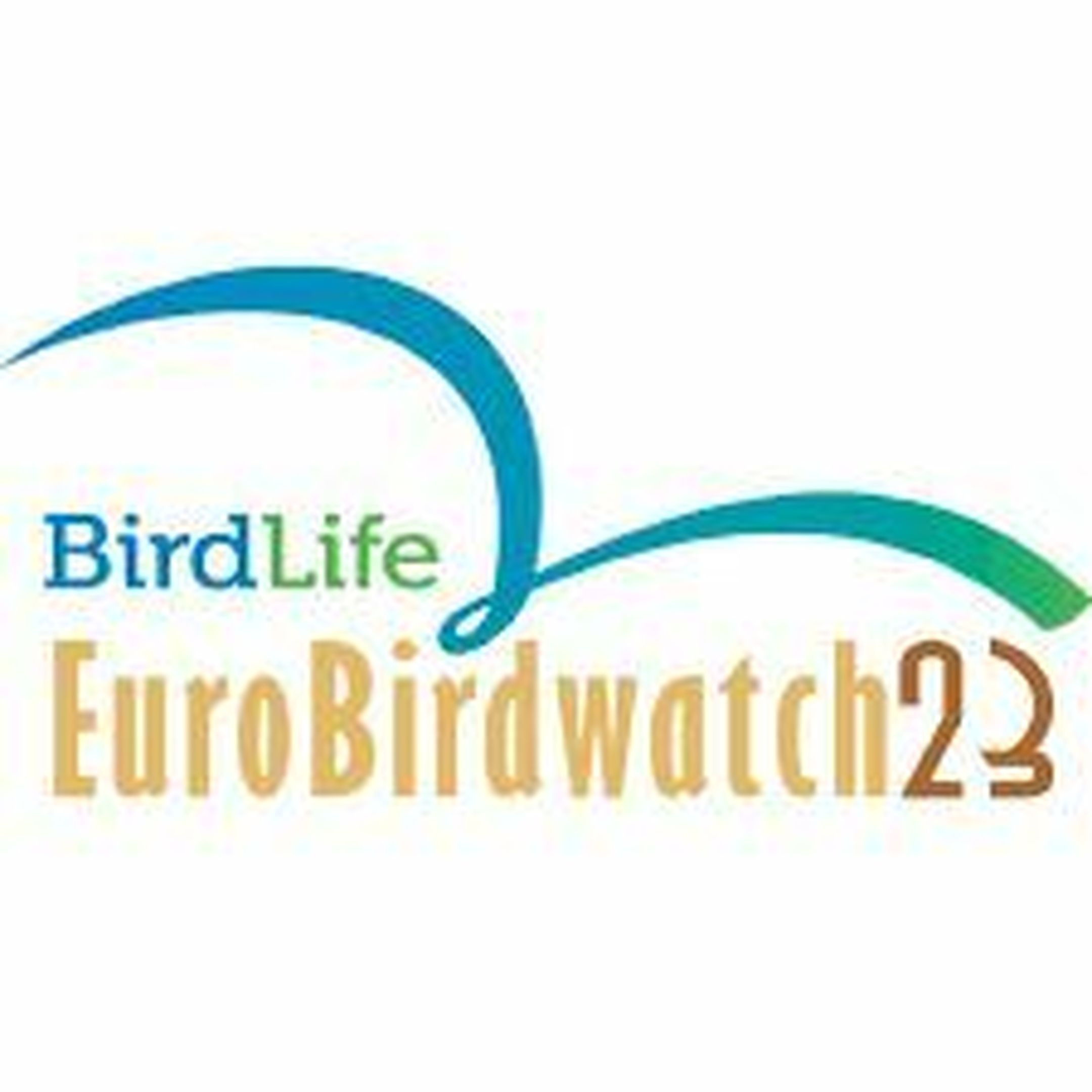 Európai Madármegfigyelő Napok - eredmények