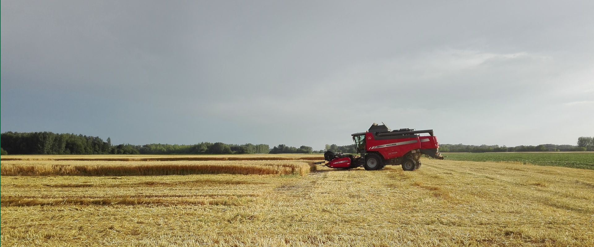 Agrofil-SZMI Kft.