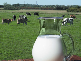 Magas hozam és minőség a füves legelőből