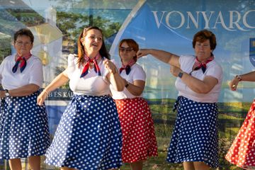 Vonyarcvashegy