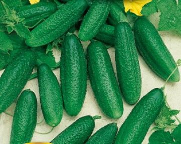 Uborka Charlotte 25 g termék képe
