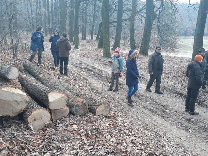 Ismét egy szakmai program helyszíne volt a soproni erdő