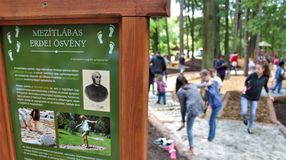"Erdő Háza" és vadaspark is lesz a Soproni Parkerdőben