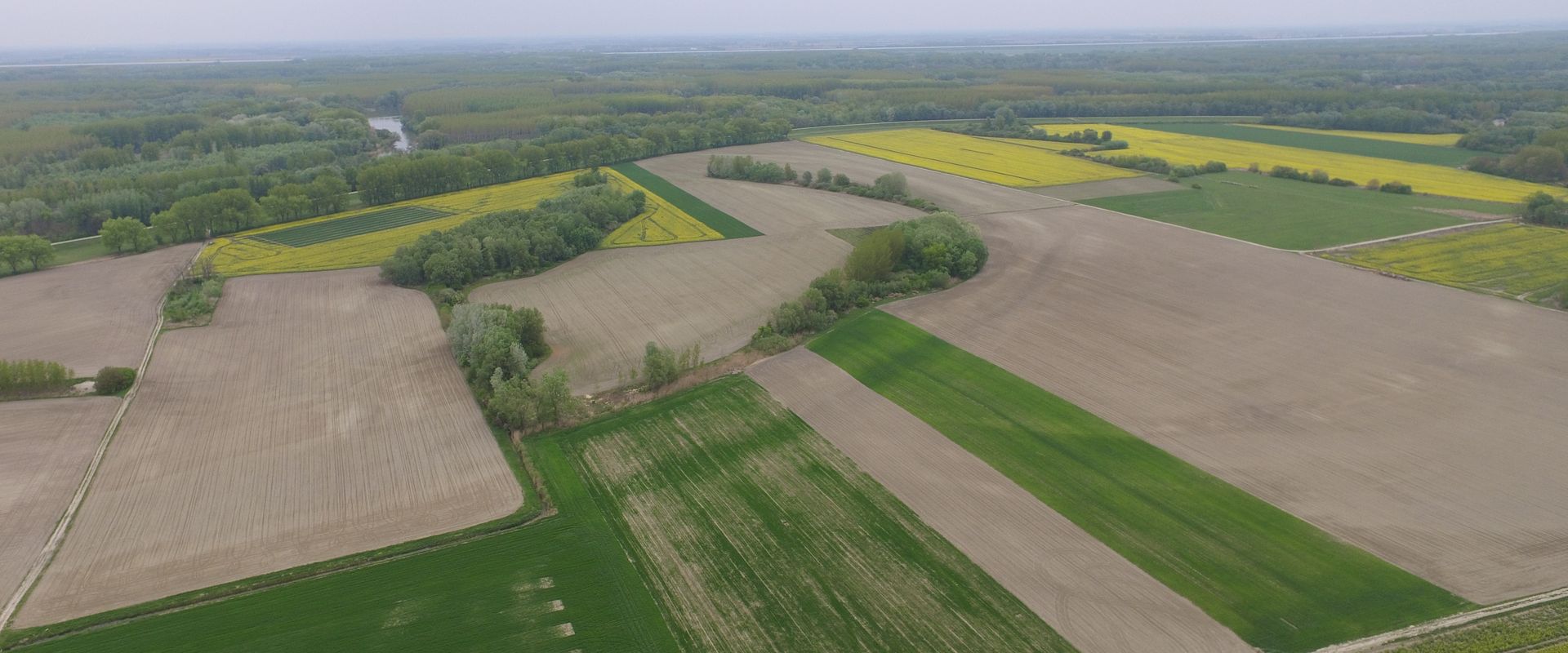 Agrofil-SZMI Kft.