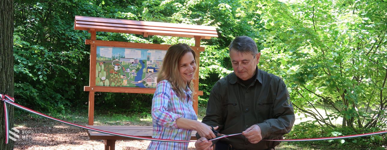 Összefogással tettek a Soproni Parkerdőért