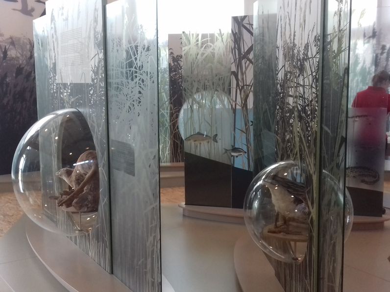 Eredményes projekt a határ mentén