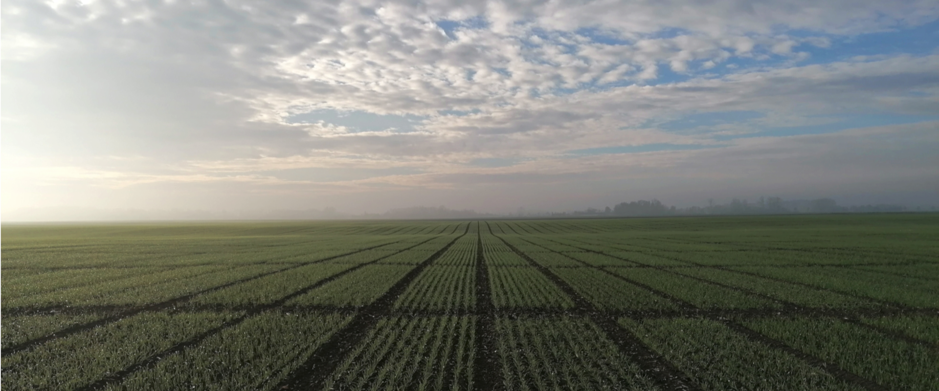 Agrofil-SZMI Kft.