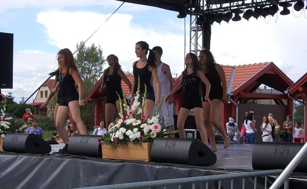 23. Falunap 2012. augusztus 11.