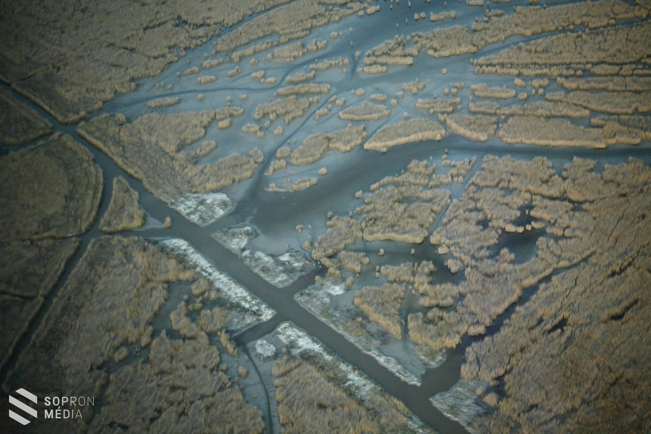 A levegőből keresgélik a kócsagtelepeket a Fertőn