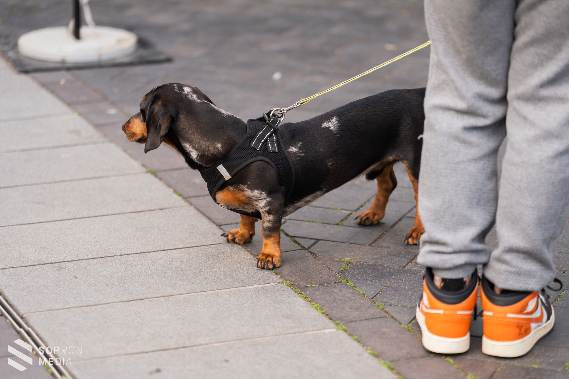 Sopronban kezdte meg 2026-os szezonját a Food Truck Show