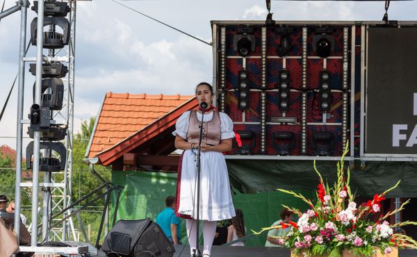 30. Falunap 2019. augusztus 3.