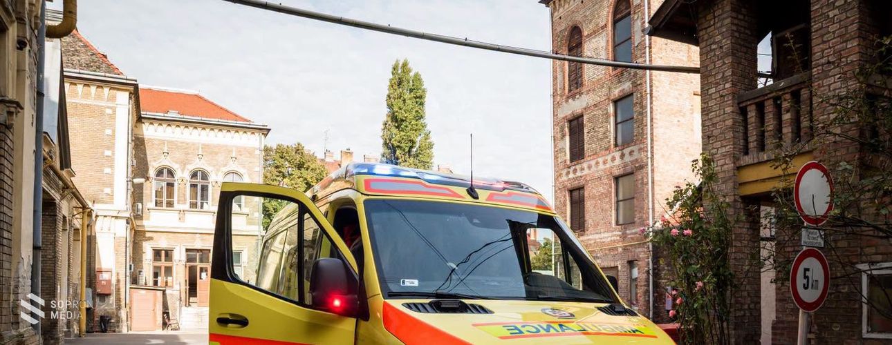 Kis híján tragédiába torkollott a rovarirtás