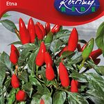 D. Chilipaprika, Etna 20 szem termék képe