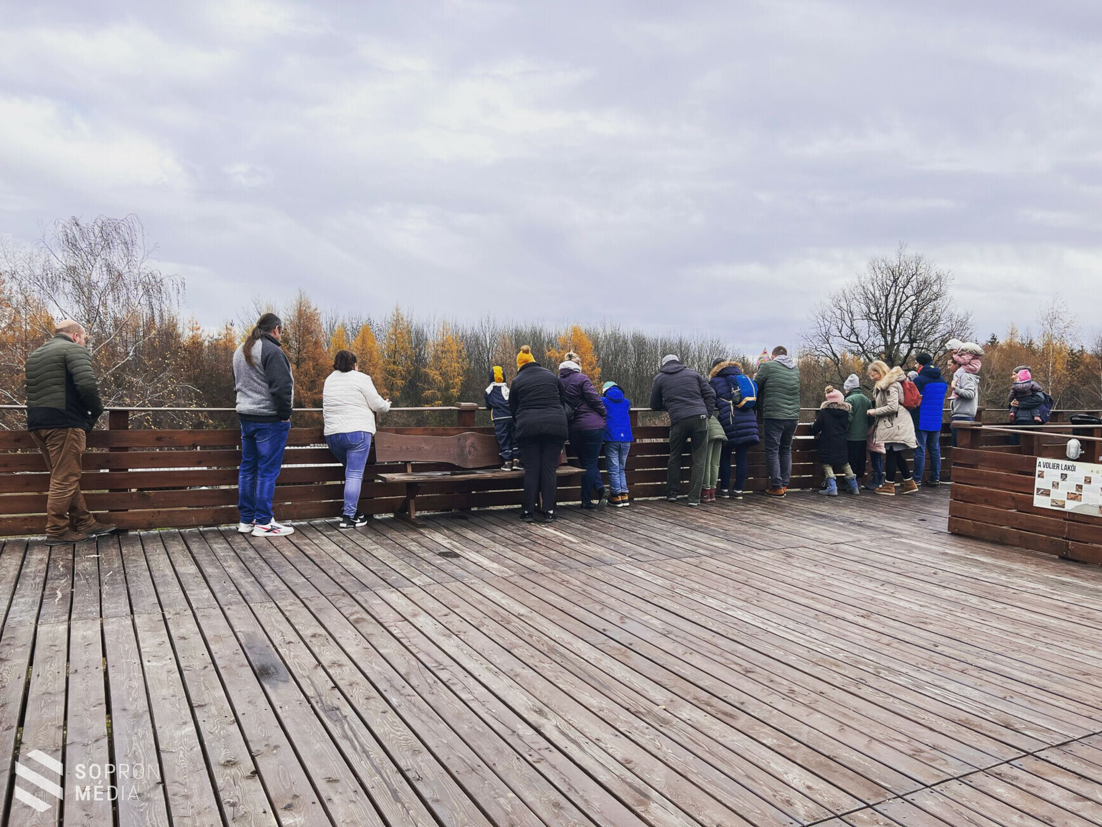 Sikeres volt az adventi program az Erdő Házában