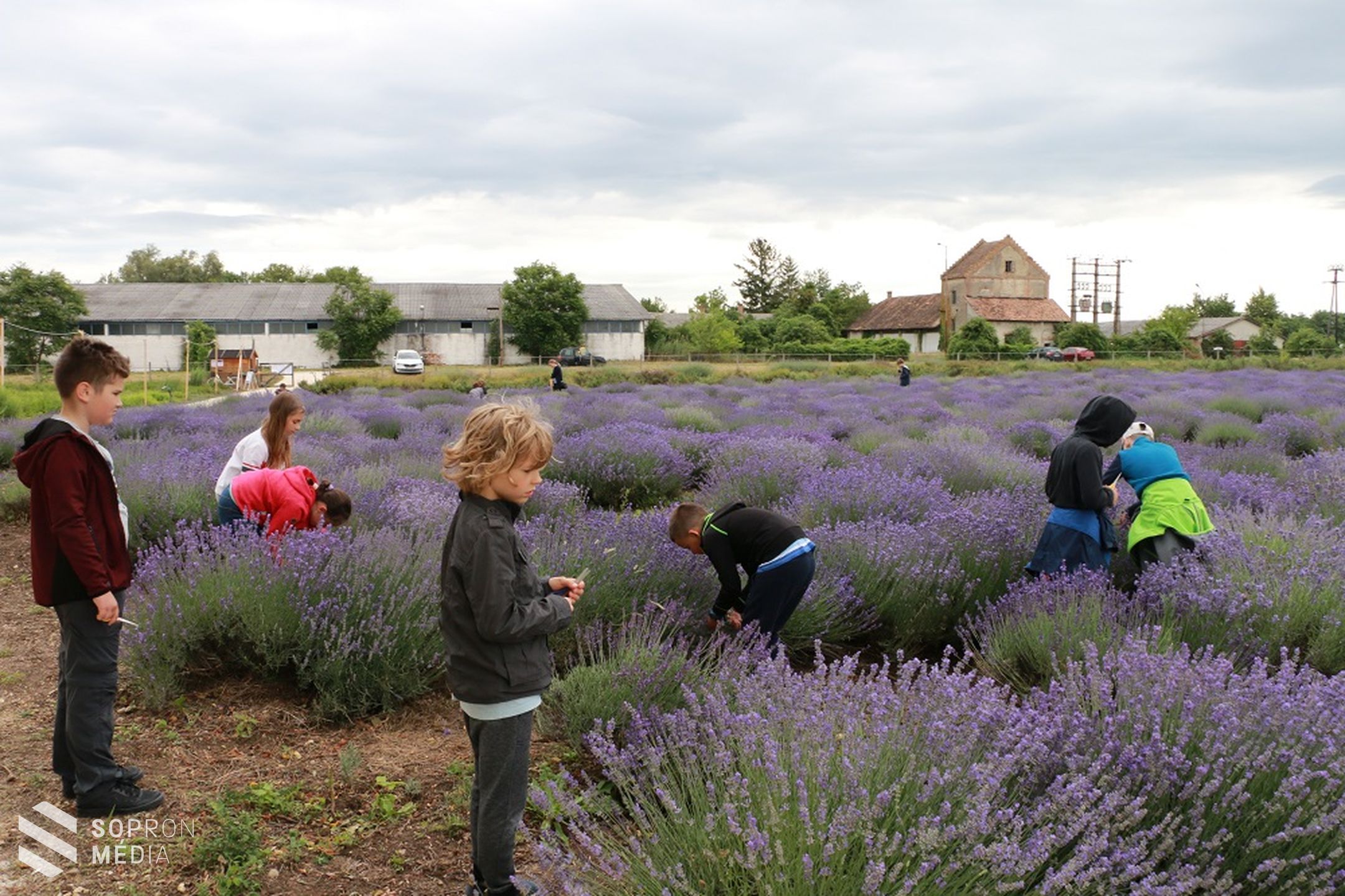 Csoport csoportot követ az Esterházy-kastélyban