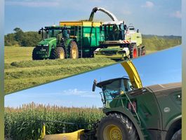 Cirok és fű egy lapon…