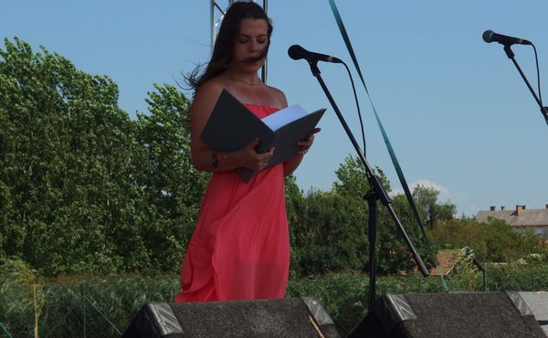 25. Falunap 2014. augusztus 9.