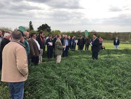 Szántóföldi Takarmánynövények Fajtabemutató 2017 - Paks