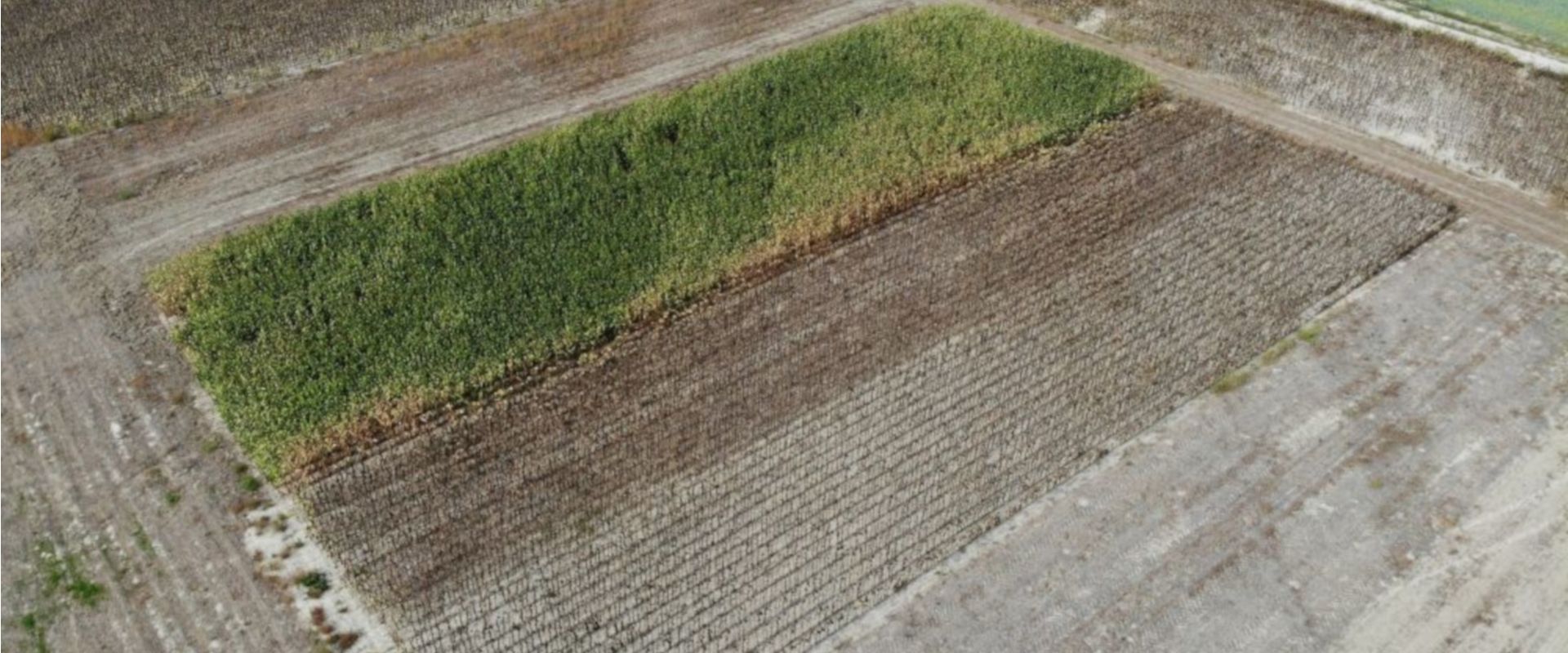 Agrofil-SZMI Kft.