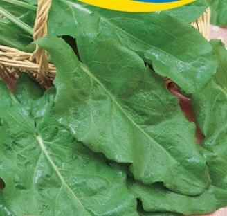 Sóska vetőmag 25 g termék képe
