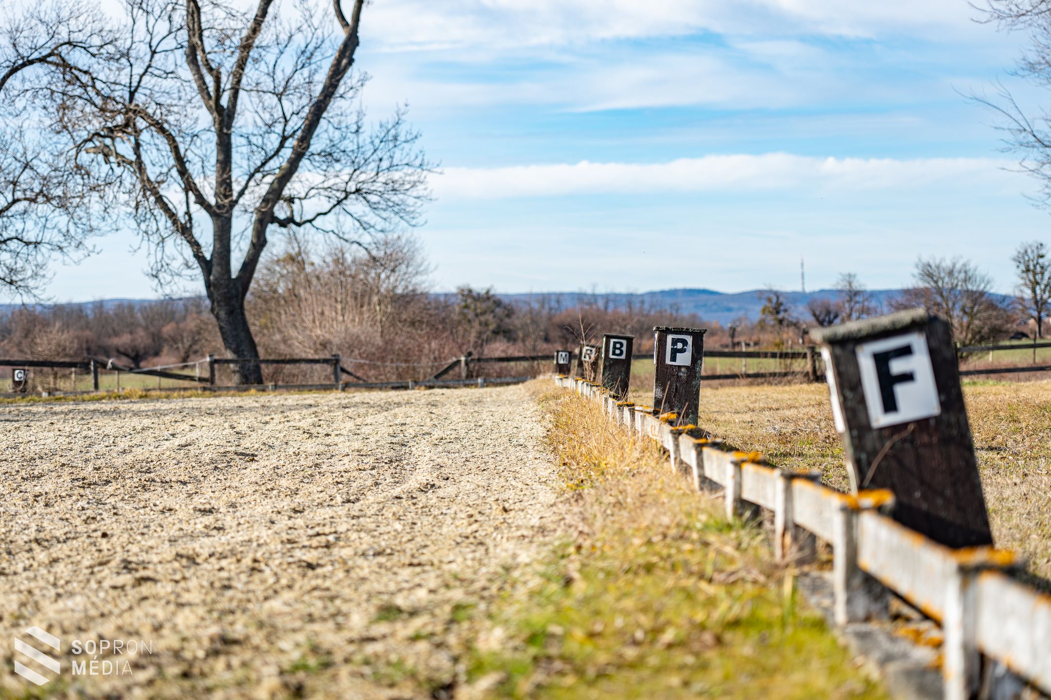 A díjlovaglás több mint hobbi