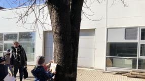 Tojáskeresés a Soproni Egyetem Botanikus Kertjében