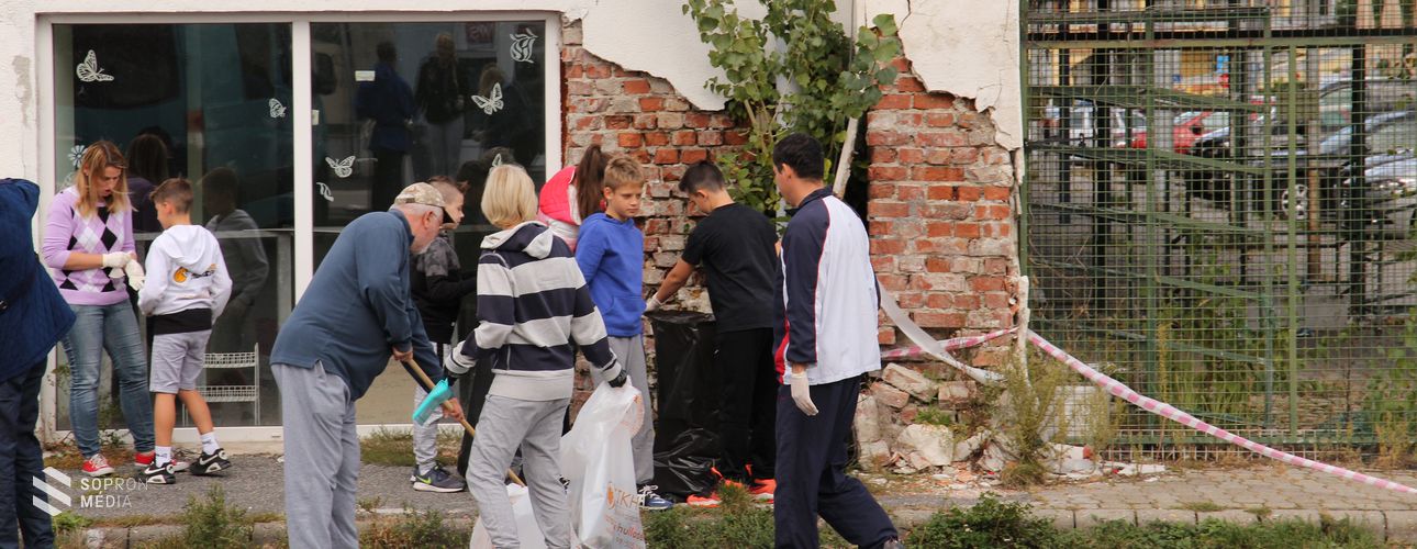 Szemetet szedtek a Soproni Tigrisek