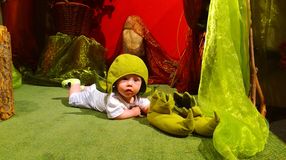 Süsü és barátai megérkeztek Sopronba! - Sok vidám képpel!