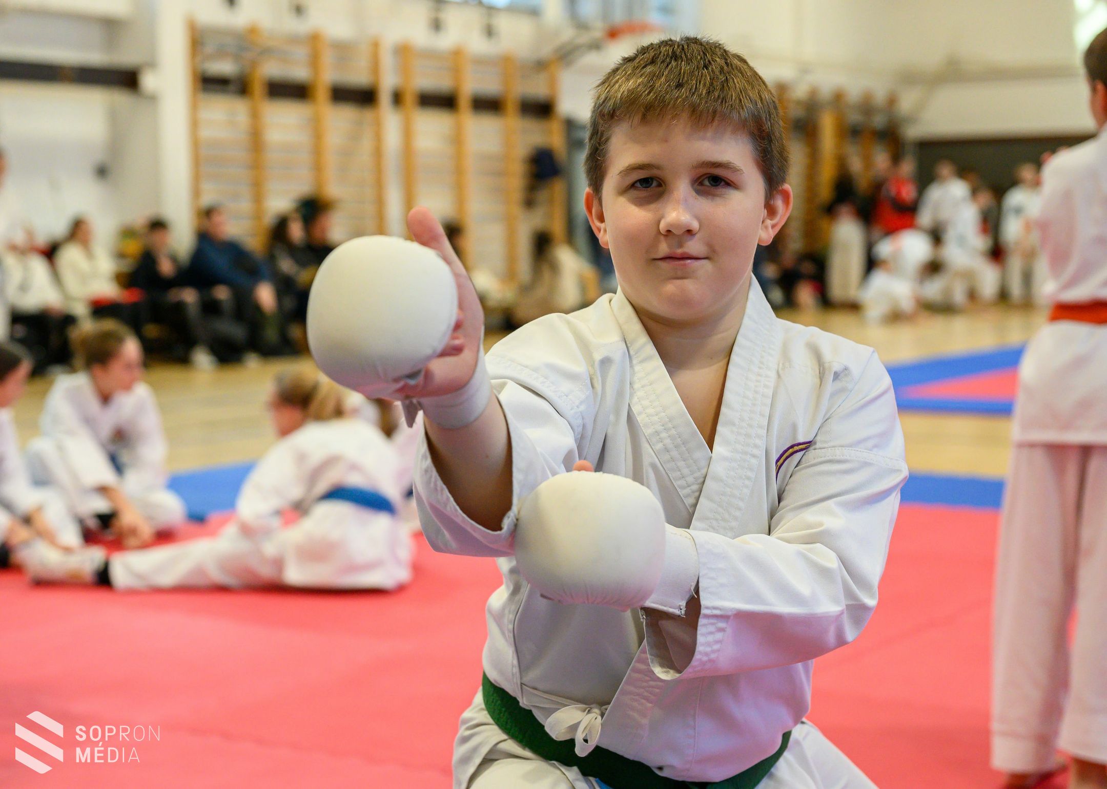 Hagyományos Shotokan Tigrisek Kupa