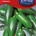 D. Chilipaprika, Jalapeno 20 szem termék képe
