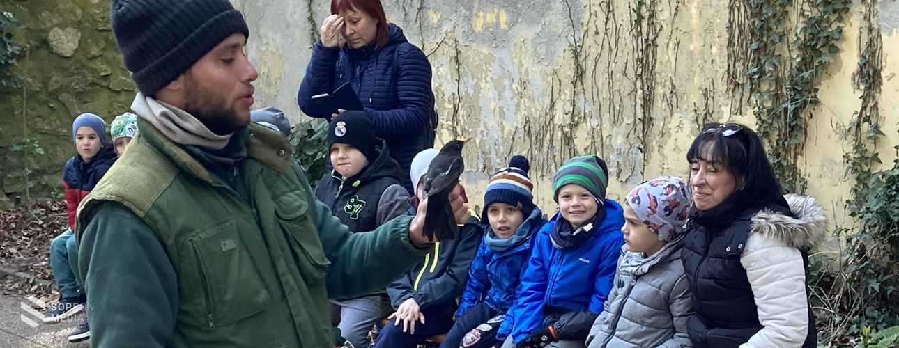 Madárgyűrűzés a Botanikus kertben