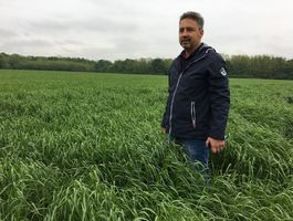 Becva festulolium - Felsőjánosfa 2020. május 15.